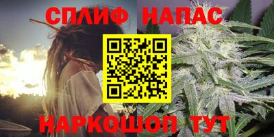 не бодяженный Ставрополь